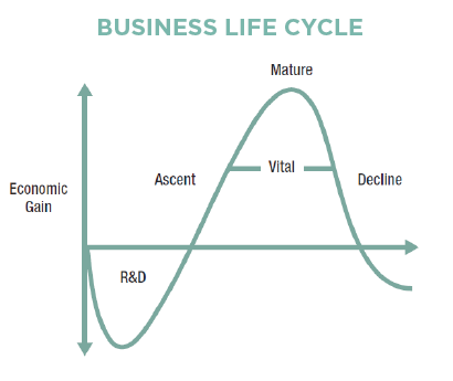 A graph of a business life cycle