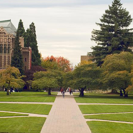 University campus image with a lot of greenery