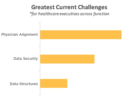 A bar chart that show the greatest challenges for healthcare executives across function.